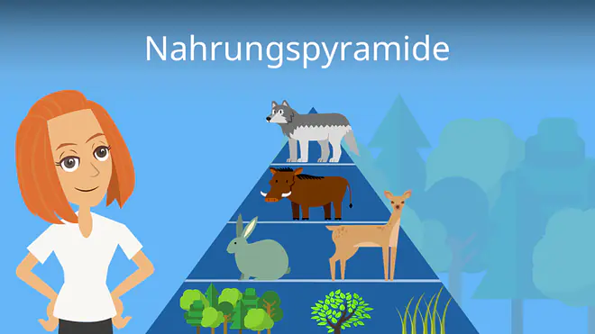 Zum Video: Nahrungspyramide
