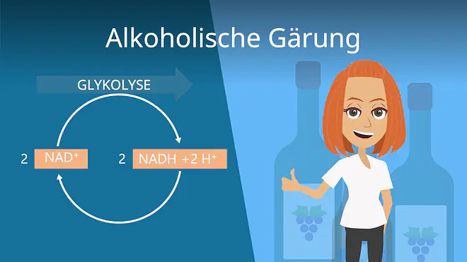 Zum Video: Alkoholische Gärung