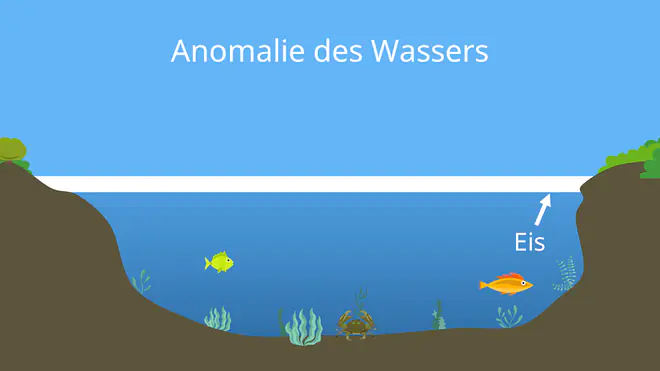 anomalie des wassers, dichteanomalie des wassers, dichteanomalie wasser, anomalie wasser, die anomalie des wassers, wasser anomalie