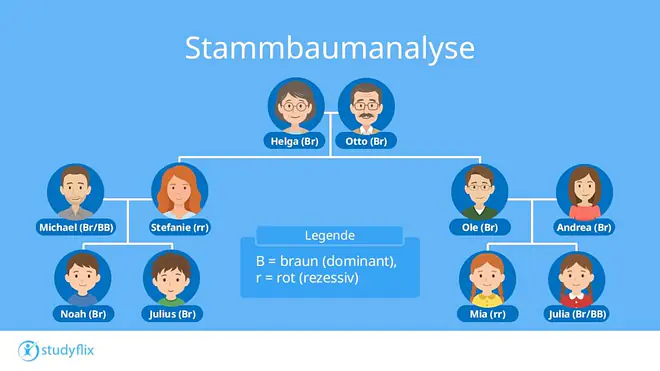 Ein Bild zeigt den Stammbaum einer Familie über drei Generationen. Die Großeltern haben braune Haare. Ihre Tochter hat aber rote Haare und ihr Sohn braune. Die Tochter hat einen Mann mit braunen Haaren. Zusammen haben sie zwei Kinder. Beide haben braune Haare. Der Sohn hat eine Frau mit braunen Haaren. Sie haben auch zwei Kinder. Eins mit roten und eins mit braunen Haaren.