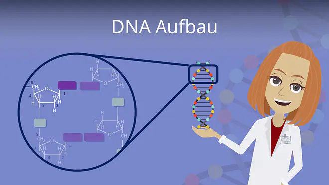 Zum Video: DNA Aufbau