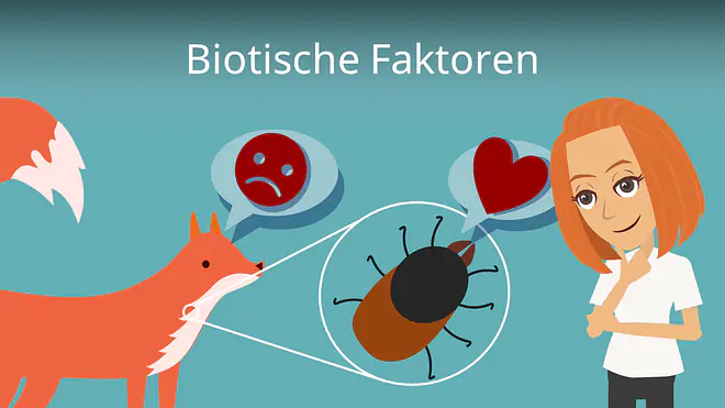Zum Video: Biotische Faktoren