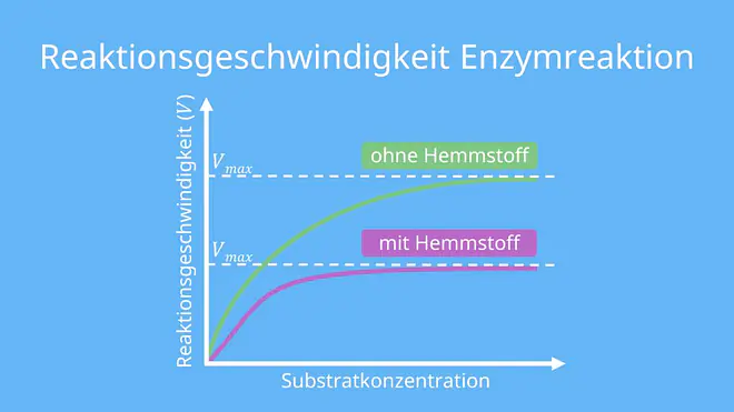 allosterischer Inhibitor, enzymreaktion,michaelis-menten-konstante, allosterisch