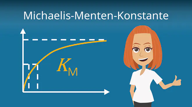 Zum Video: Michaelis-Menten-Konstante