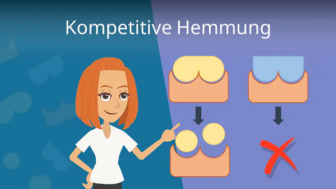 Zum Video: Kompetitive Hemmung