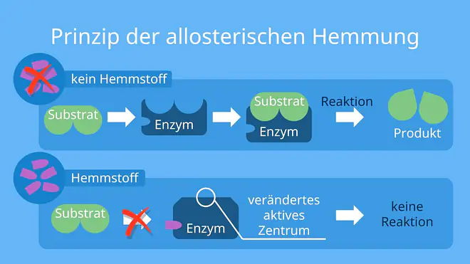 Enzym, reversible Hemmung, nicht-kompetitive Hemmung, allosterische Hemmung reversibel