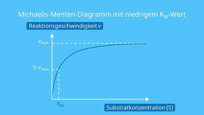 Michaelis-Menten-Diagramm mit niedrigem KM-Wert, Michaelis Menten Konstante, Michaelis Konstante, Michaelis-Menten-Gleichung, Affinität, Substrate, Substratkonzentration, KM Wert