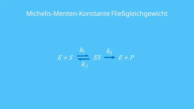 Michaelis-Menten-Konstante Fließgleichgewicht, Michaelis-Menten-Gleichung, Enzym-Substrat-Komplex, Geschwindigkeitskonstante, Dissoziationskonstante