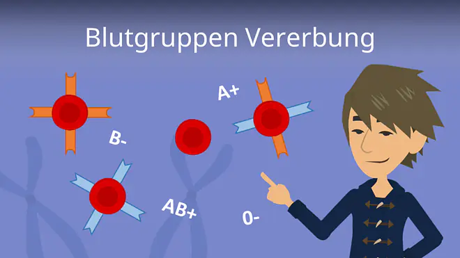 Zum Video: Blutgruppen Vererbung