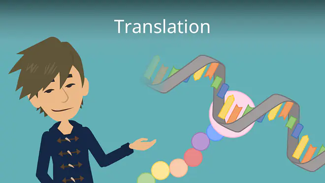 Zum Video: Translation