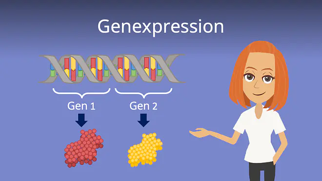 Zum Video: Genexpression