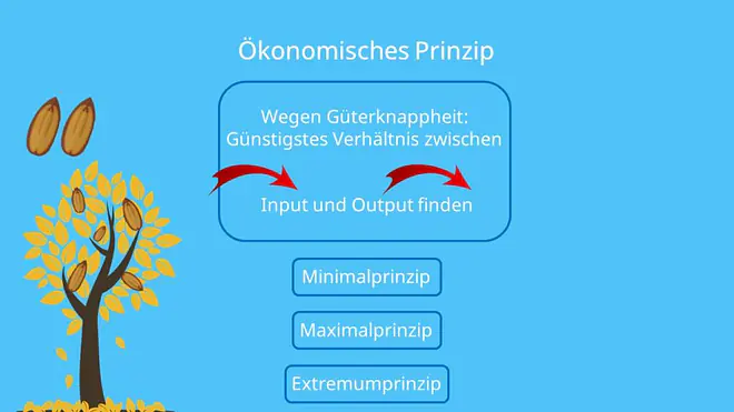 Ökonomisches Prinzip, Minimalprinzip, Maximalprinzip, Extremumprinzip