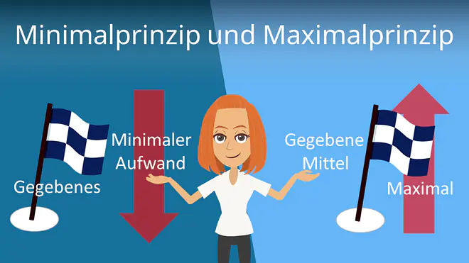 Zum Video: Minimalprinzip und Maximalprinzip
