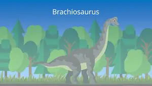Das Bild zeigt einen Brachiosaurus. Er hat breite Beine wie ein Elefant und einen sehr langen Hals, der die Hälfte seiner Höhe ausmacht.