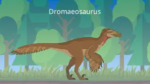 Das Bild zeigt einen Dromaeosaurus. Er ist kleiner als ein durchschnittlicher Erwachsener und läuft auf zwei Beinen. Seine Haut ist von Federn bedeckt.
