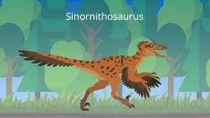 Das Bild zeigt einen Sinornithosaurus. Er ist kleiner als ein durchschnittlicher Erwachsener und sein Körper ist mit federähnlichen Strukturen bedeckt.