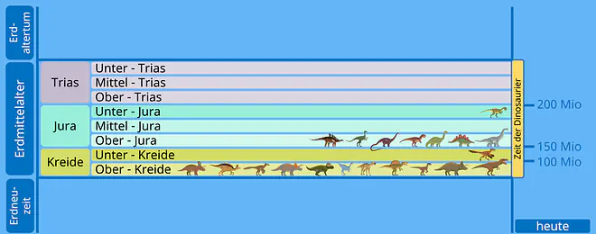 Zu sehen ist eine Übersicht des Erdzeitalters, unterteilt in Erdaltertum, Erdmittelalter und Erdneuzeit. Innerhalb des Erdmittelalters leben die Dinosaurier, verteilt auf die Kreidezeit, die Jura und die Trias, die wiederum jeweils selbst unterteilt sind. Der älteste hier genannte Dinosaurier lebte in der Unter-Jura, nämlich der Dilophosaurus. In der Ober-Jura folgten der Brachiosaurus, der Stegosaurus, der Brontosaurus, der Allosaurus, der Diplodocus, der Compsognathus und der Kentrosaurus. In der Unter-Kreide lebte der Sinornithosaurus. In der Ober-Kreide haben der Tyrannosaurus Rex, der Triceratops, der Velociraptor, die Maiasaura, der Oviraptor, der Protoceratops, der Diabloceratops, der Dromaeosaurus, der Lambeosaurus und der Pentaceratops gelebt. Der Spinosaurus lebte in der gesamten Kreidezeit.