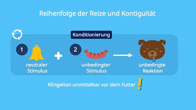 unconditioned stimulus, conditiond stimulus, unconditioned respose, conditioned response, neutral stimulus