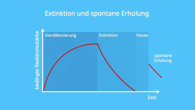 Klassische Konditionierung, unconditioned stimulus, conditiond stimulus, unconditioned respose, conditioned response, neutral stimulus, Löschung, Erinnerung