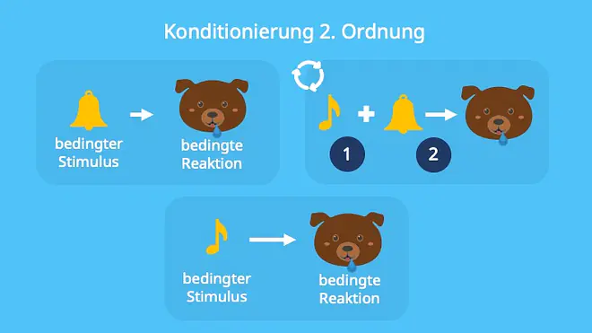 unconditioned stimulus, conditiond stimulus, unconditioned respose, conditioned response, neutral stimulus, Klassische Konditionierung, Erweiterung, Lernen, Pawlow hund