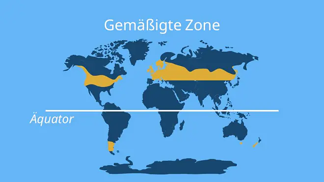Die Grafik zeigt eine Weltkarte, auf der die gemäßigte Zone als breiter gelber Streifen markiert ist, der sich nördlich und südlich des Äquators über große Teile Nordamerikas, Europas und Asiens sowie kleinere Bereiche der Südhalbkugel erstreckt. Eine weiße Linie kennzeichnet den Äquator, wodurch die Lage der gemäßigten Klimazone deutlich gemacht wird.
