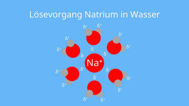 Wasser, Natrium, Hydratation, Hydrathülle, Lösen, Salze