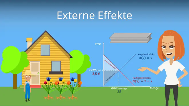 Zum Video: Externe Effekte