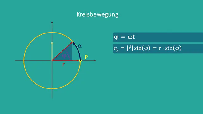 Kreisbewegung, harmonische Schwingung, Phasenwinkel, Winkelgeschwindigkeit, Radius, Sinusschwingung, Oszillator