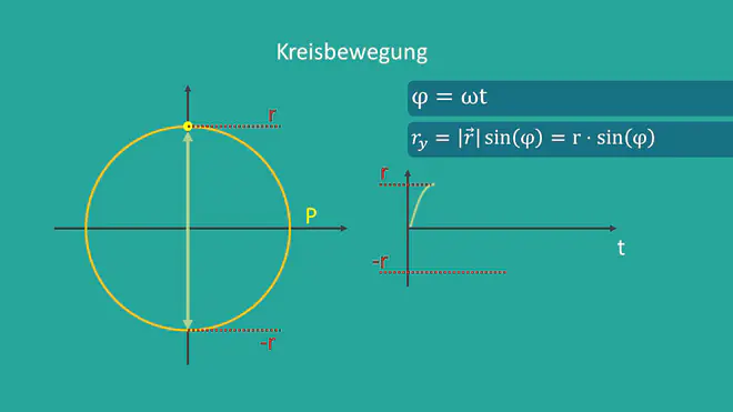 Harmonische Schwingung, Radius, Schwingung, Sinusschwingung, Oszillator, Winkelgeschwindigkeit, Zeit, Amplitude