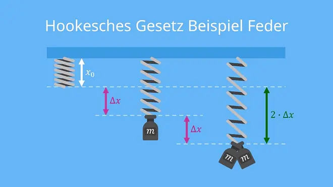Hookesches Gesetz, Hooksches Gesetz, Gesetz von Hooke, Gesetz von Hook, Federkraft, Gewichtskraft, Federsystem, Federpendel, das hookesche gesetz, federsystem, federkonstante, feder kraft, hookesche gesetz Beispiel, Beispiel, Beispiel Federpendel, Beispiel Federkraft, Feder und Gewicht, Gewichtskraft Feder, Auslenkung Feder
