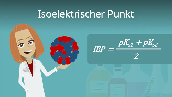Zum Video: Isoelektrischer Punkt
