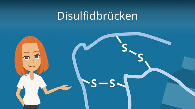 Zum Video: Disulfidbrücken
