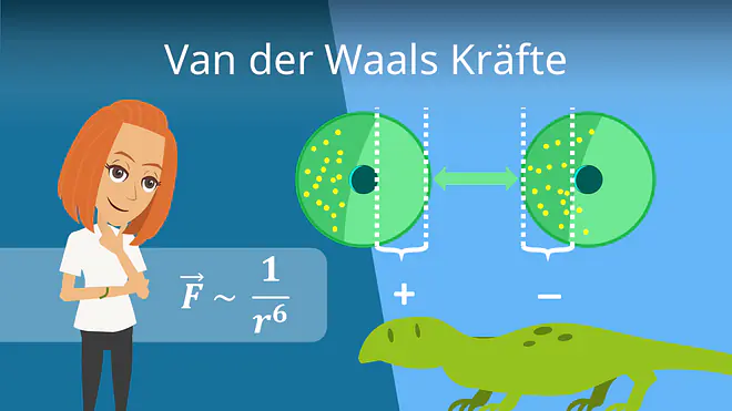 Zum Video: Van-der-Waals-Kräfte