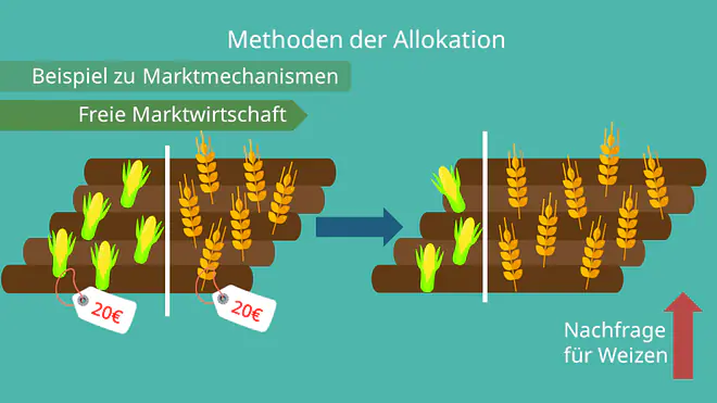 Beispiel zu Marktmechanismen, Allokation, Freie Marktwirtschaft