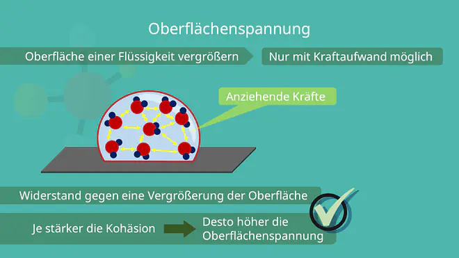 Oberflächenspannung Kohäsion