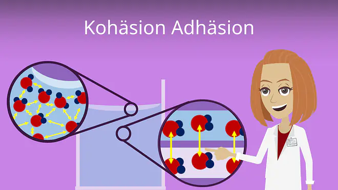 Zum Video: Kohäsion Adhäsion