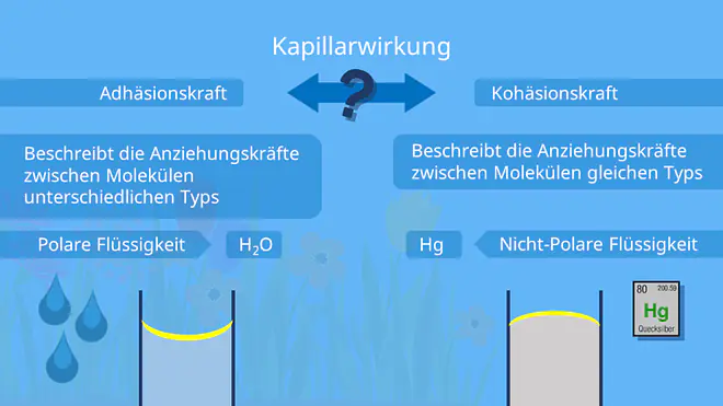Adhäsion und Kohäsion