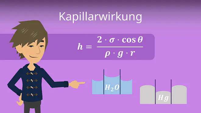 Zum Video: Kapillarwirkung