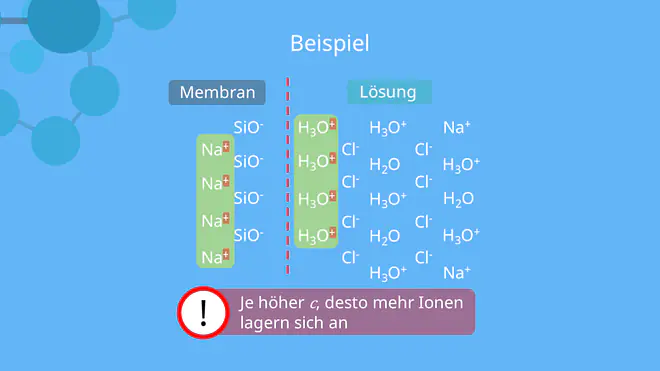 Potentiometrie - Schematische Darstellung der Doppelschicht