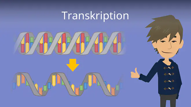 Transkription