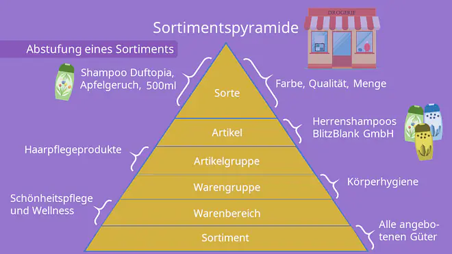 Sortimentspyramide, Sorte, Artikel, Artikelgruppe, Warengruppe, Warenbereich, Sortiment