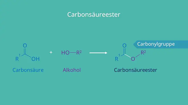 Ester, Carbonsäure, Alkohol, Carbonylgruppe, Carboxylgruppe