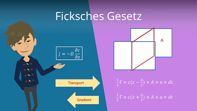 Zum Video: Ficksches Gesetz