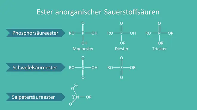 Sauerstoffsäuren, Phosphorsäureester, Schwefelsäureester, Salpetersäureester, Monoester, Diester, Triester