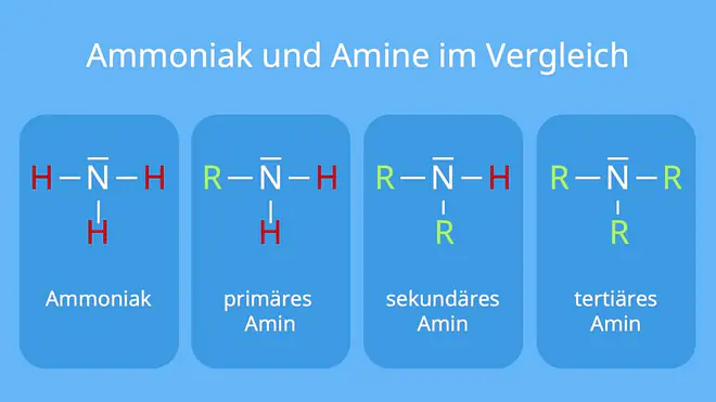 amin, amine, primäres amin, tertiäres amin, aminogruppe