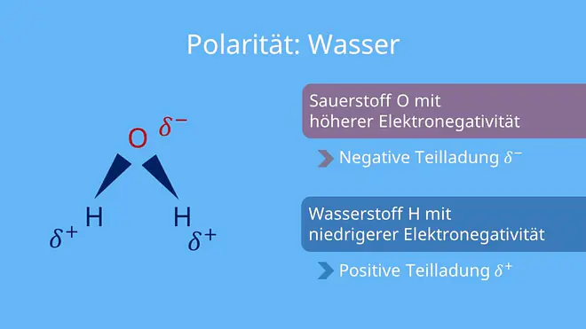 Polarität, Polarität Wasser
