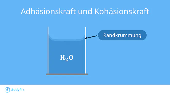 Gefäß gefüllt mit Wasser, bei dem das Wasser am Rand leicht nach oben gezogen wird