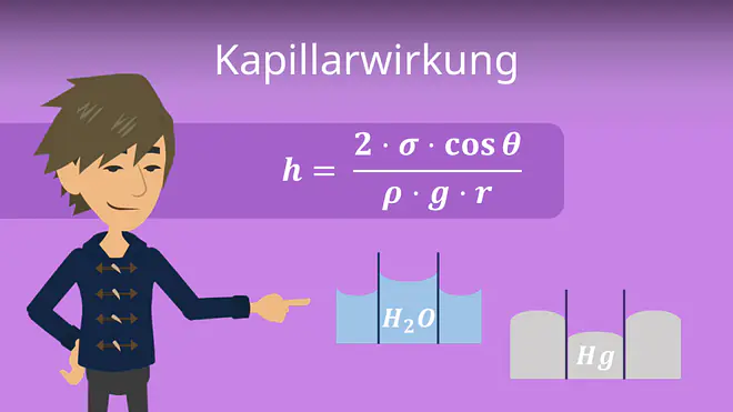 Zum Video: Kapillarwirkung