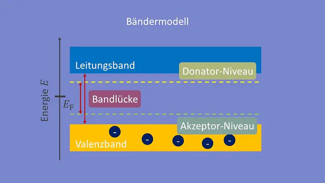 Bänderschema illustriert