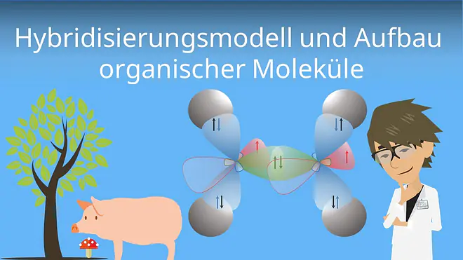 Zum Video: Hybridisierungsmodell und Aufbau organischer Moleküle